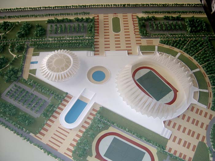 project model